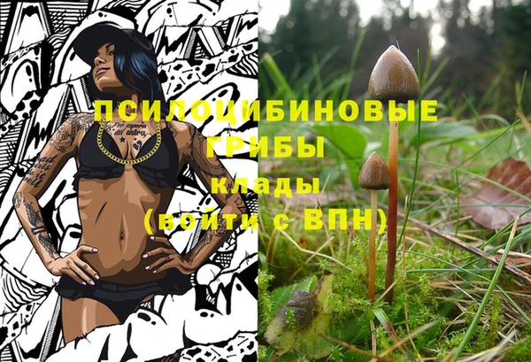 молекула духа Беломорск