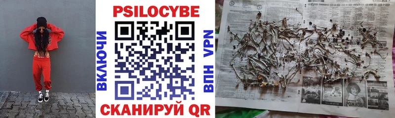 Псилоцибиновые грибы Psilocybine cubensis  Купить  Лебедянь 